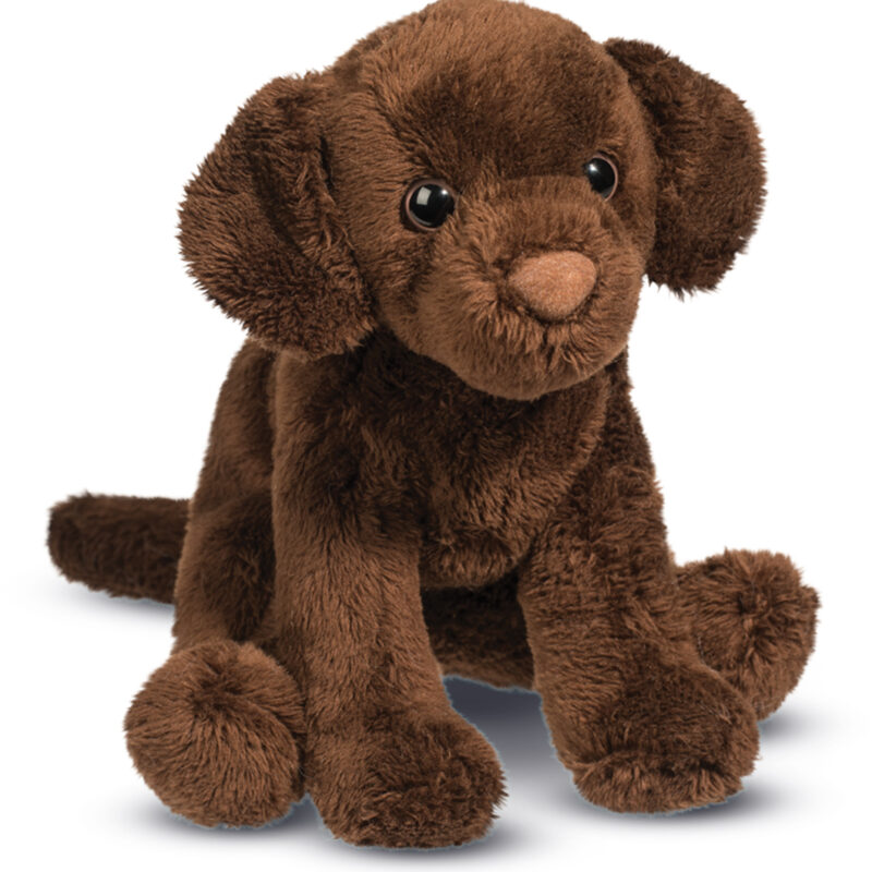 Finn Chocolate Lab