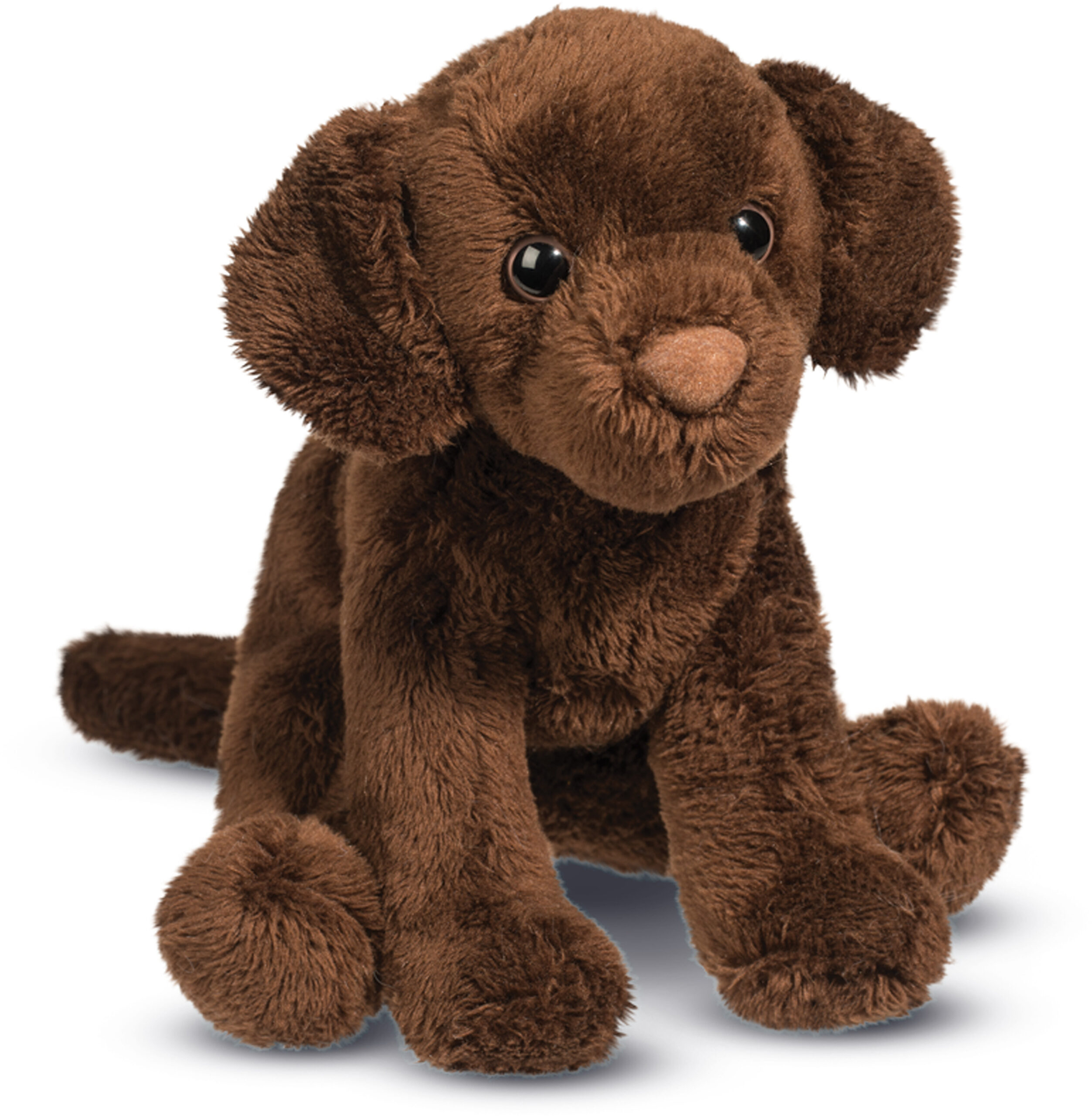 Finn Chocolate Lab