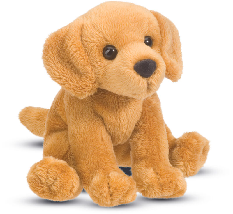 Gracie Golden Retriever