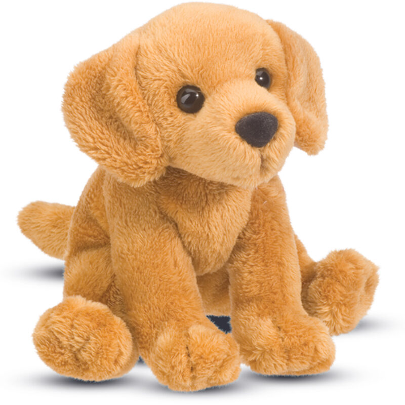 Gracie Golden Retriever