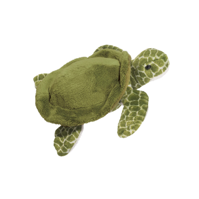 Tillie Turtle