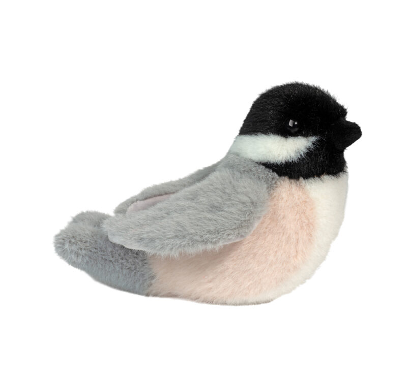 Chipper Chickadee