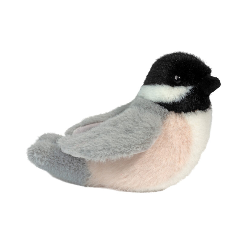 Chipper Chickadee