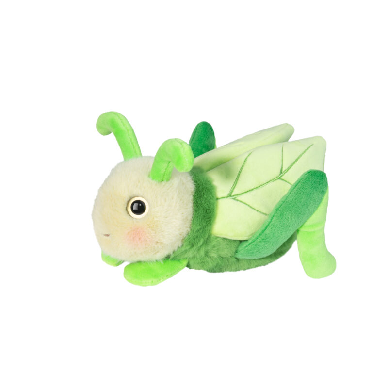 Kady Grasshopper