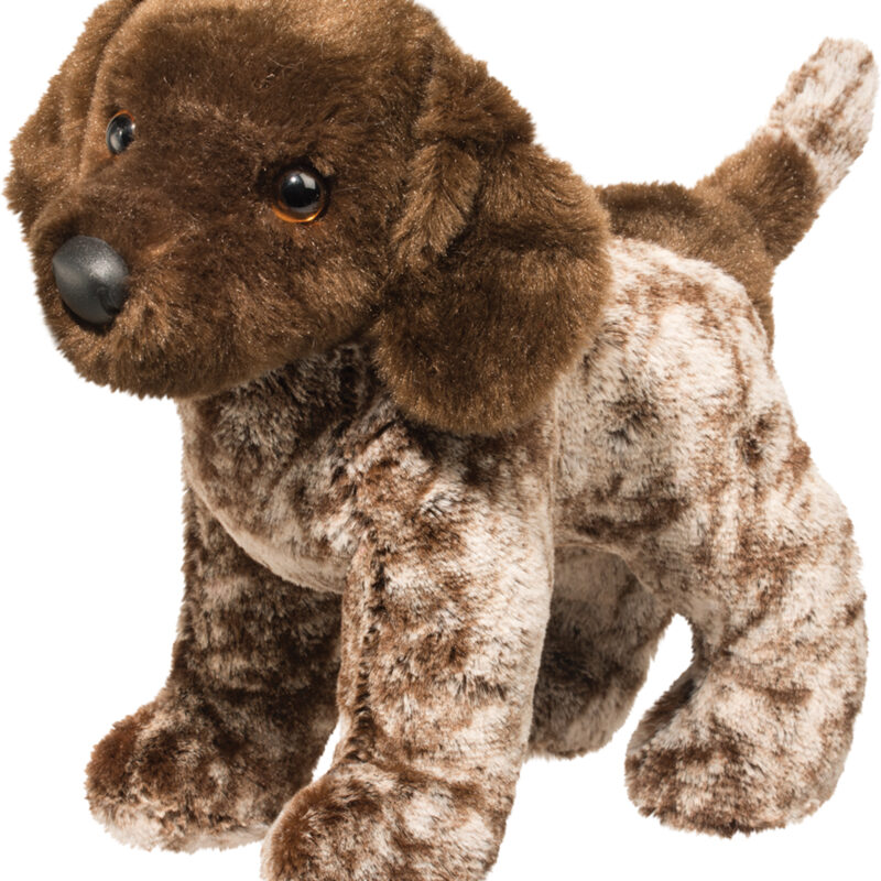 Ivan German Pointer