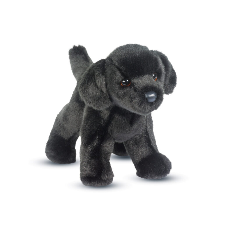Bear Black Lab