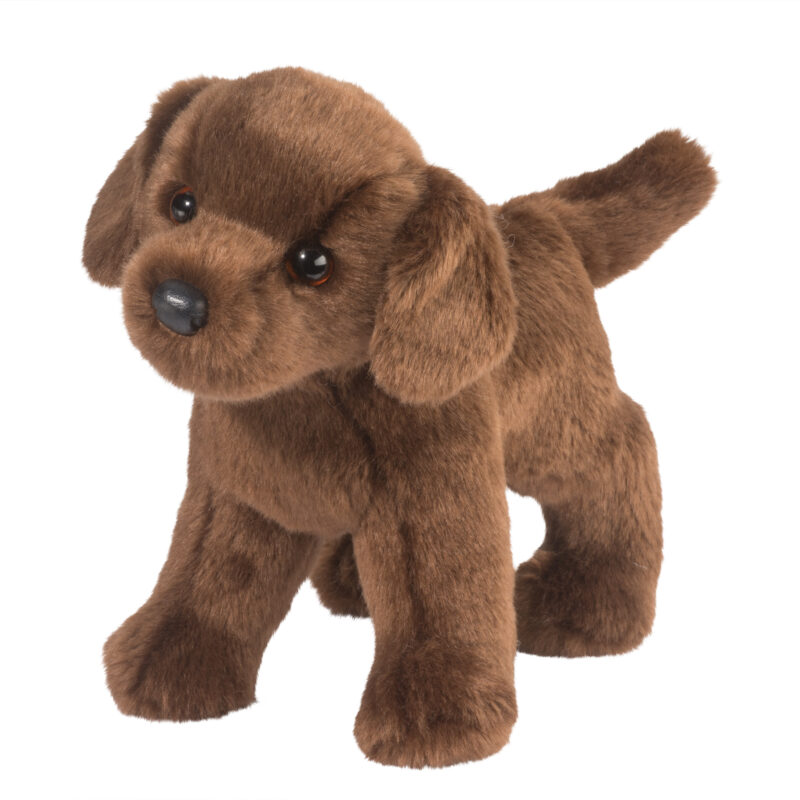 Tucker Chocolate Lab