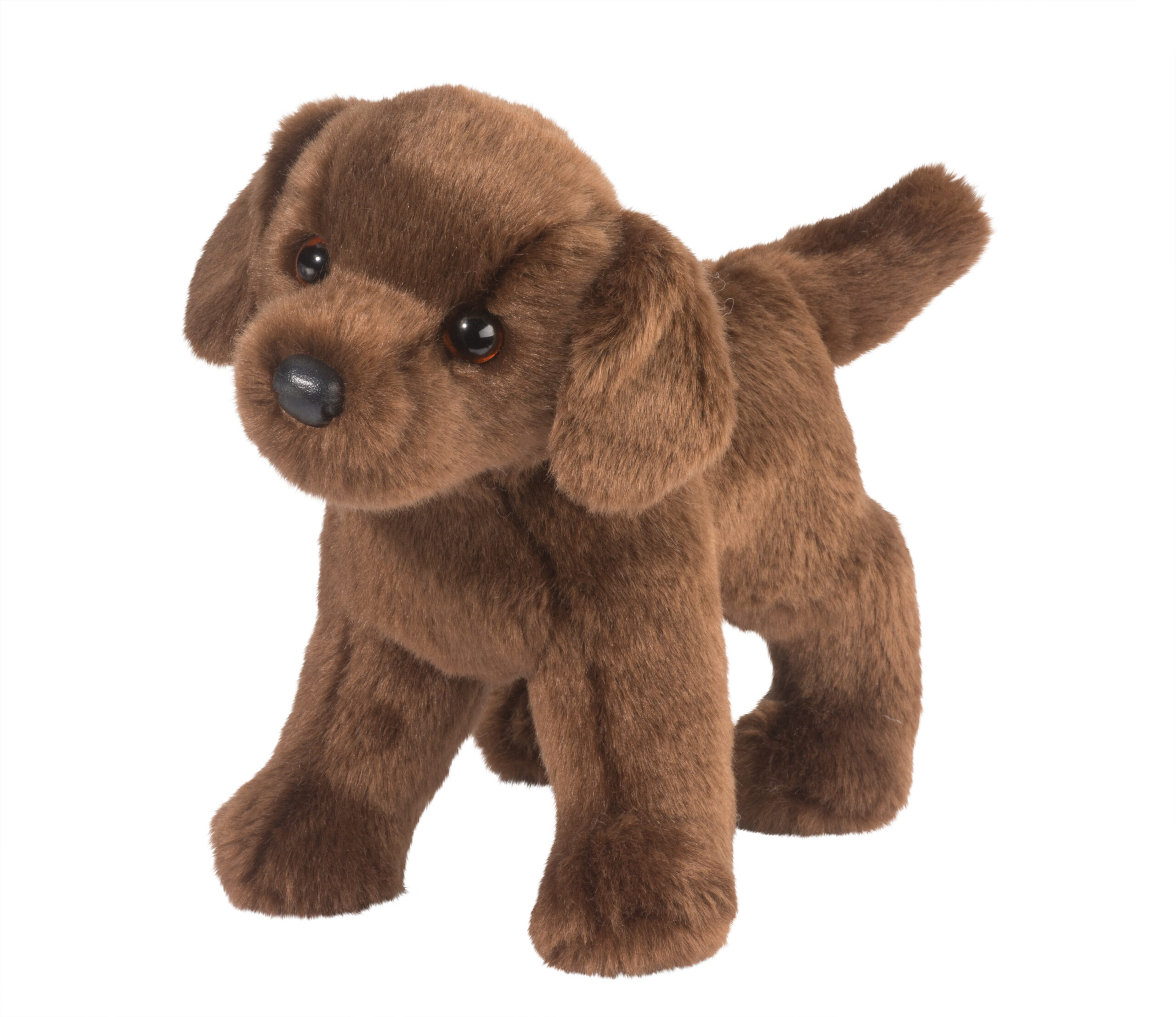 Tucker Chocolate Lab