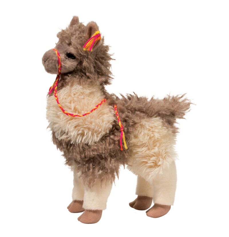 Zephyr Llama