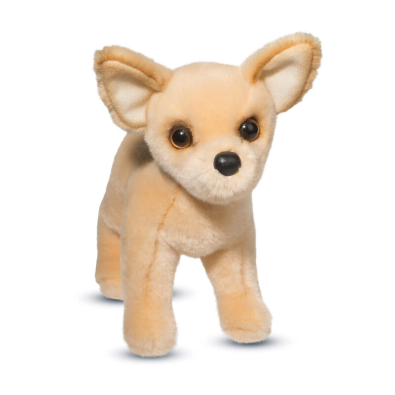 Carlos Chihuahua
