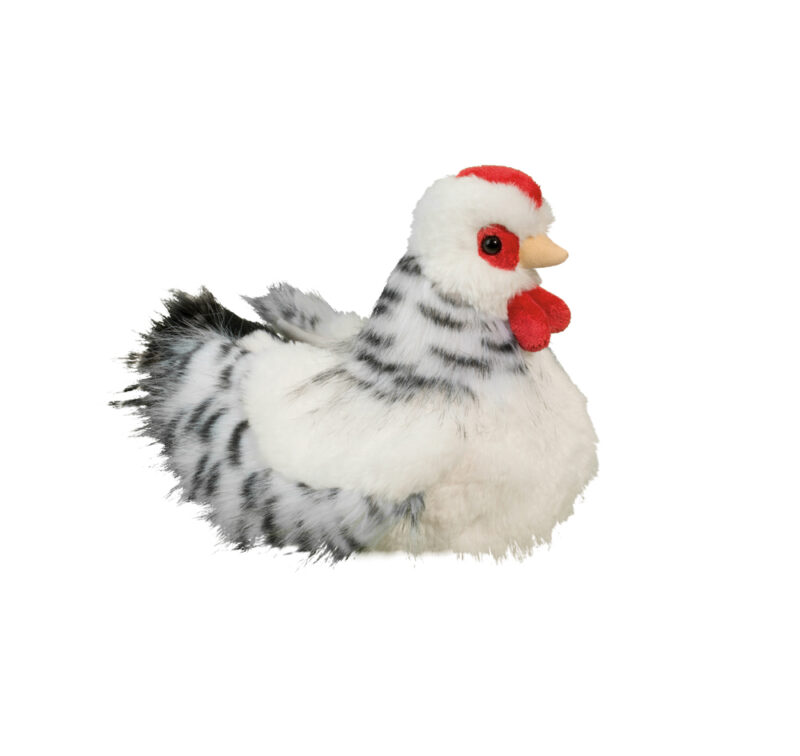 Salty Black And White Hen