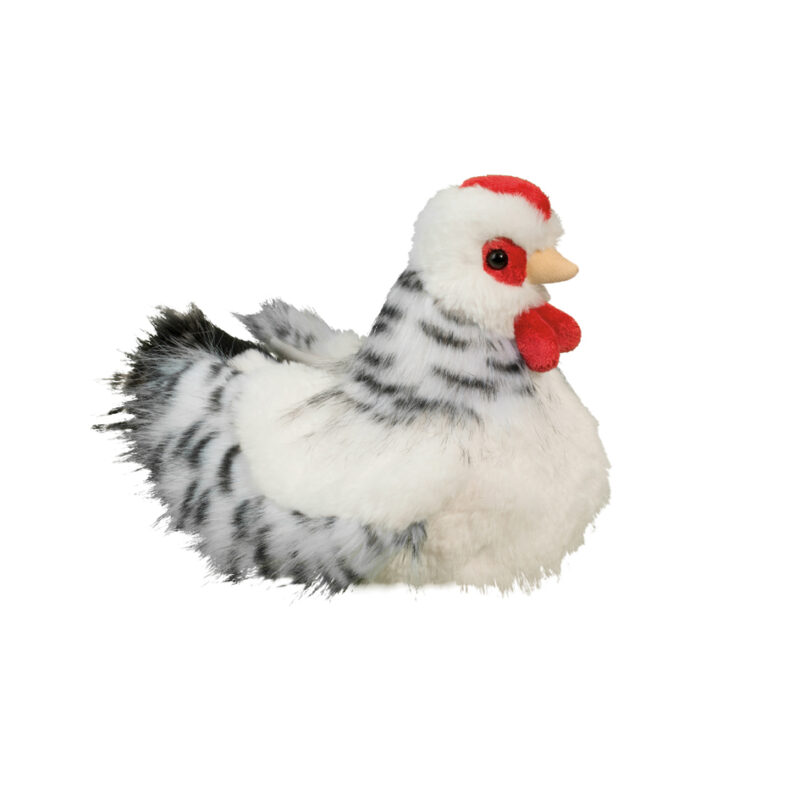 Salty Black And White Hen