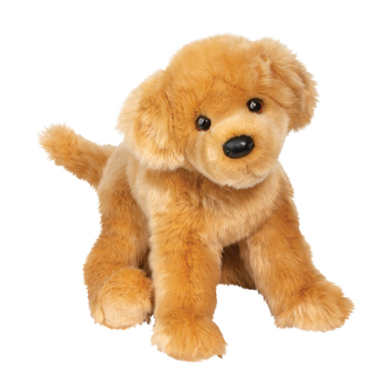 Bella Golden Retriever