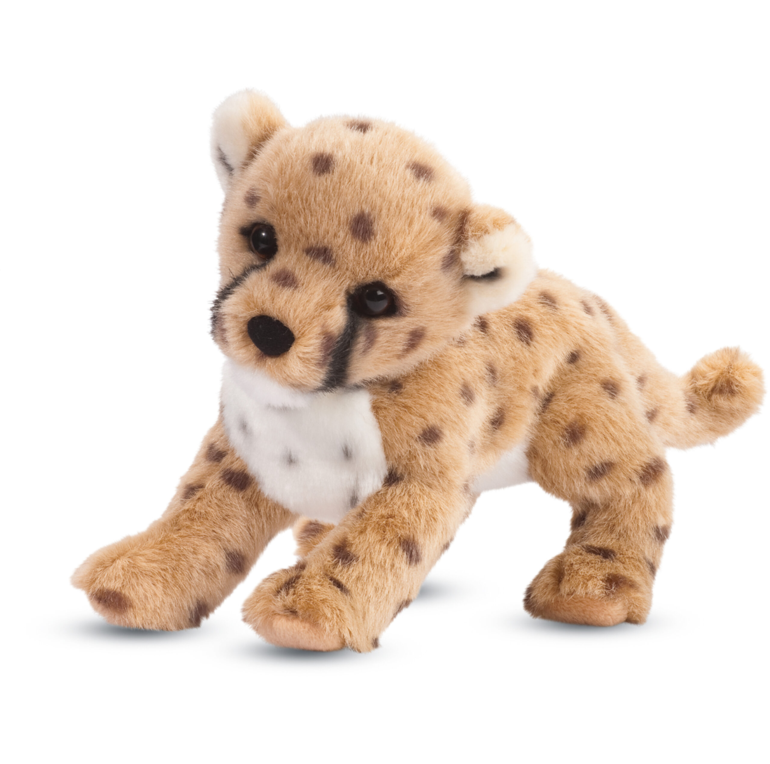 Chillin’ Cheetah Cub