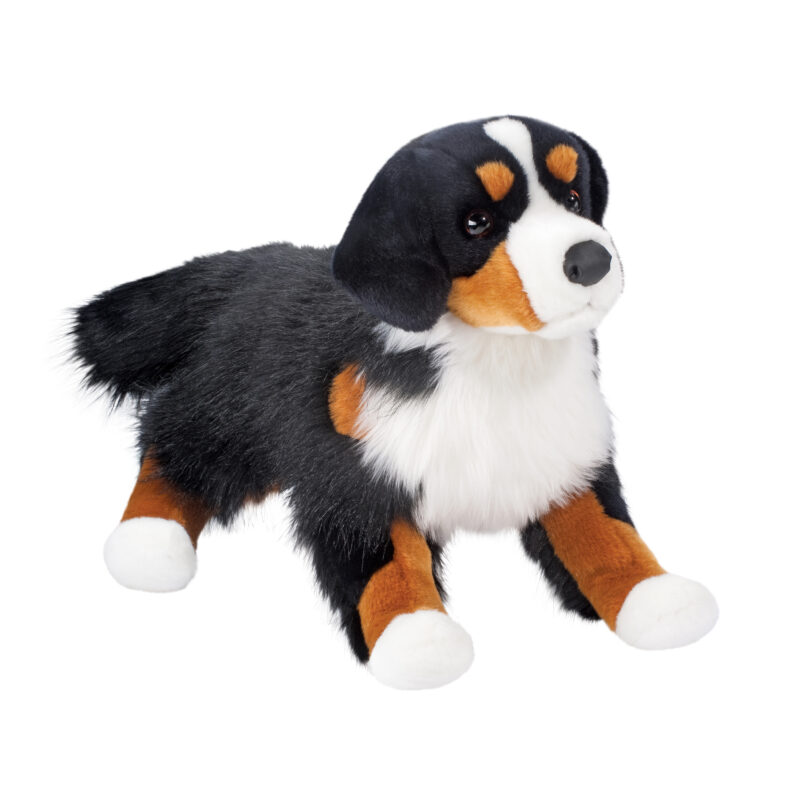 Alps Bernese Mountain Dog, Floppy