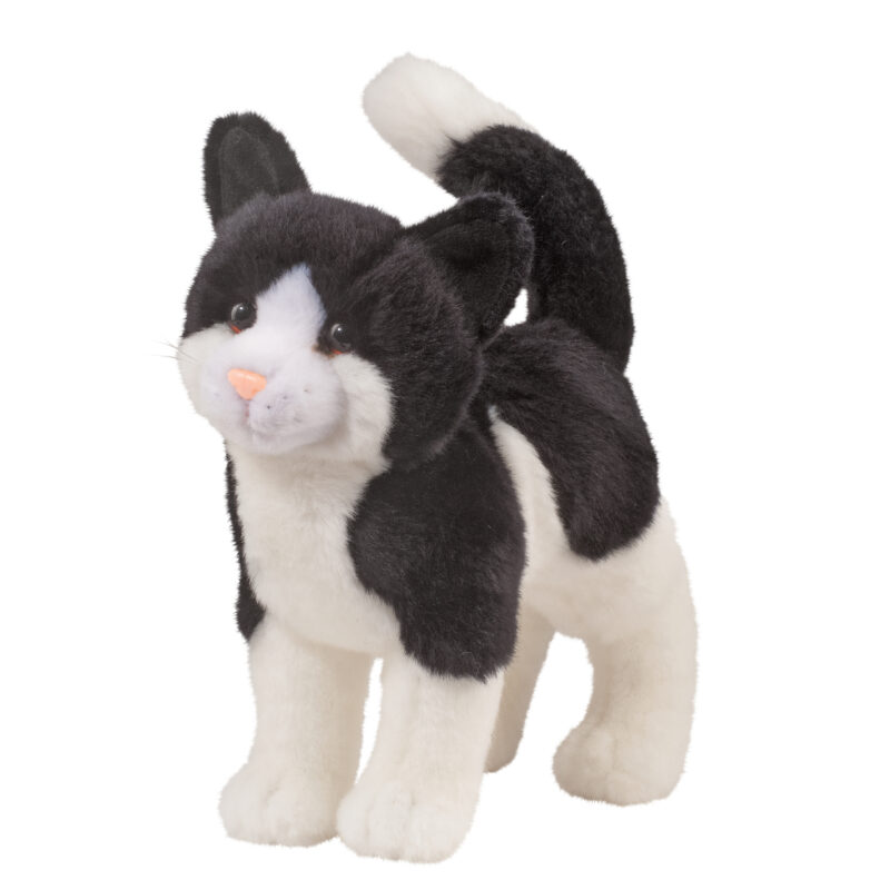 Scooter Black & White Cat
