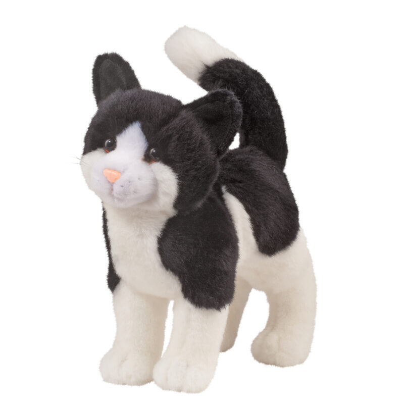 Scooter Black & White Cat