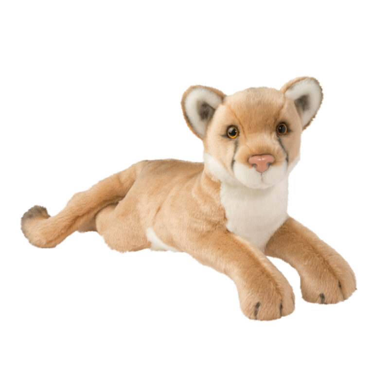 Kelso Mountain Lion