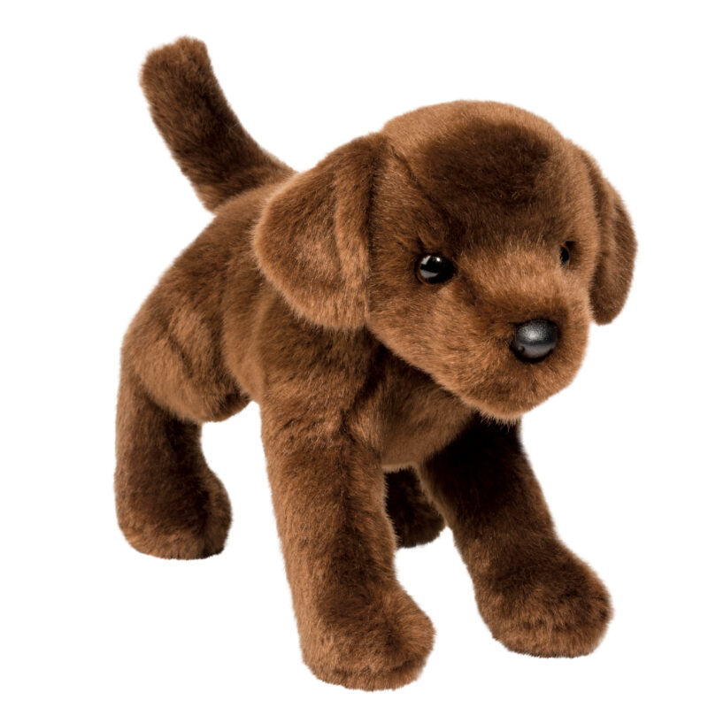 C.C. Bean Chocolate Lab