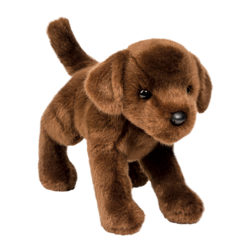 C.C. Bean Chocolate Lab