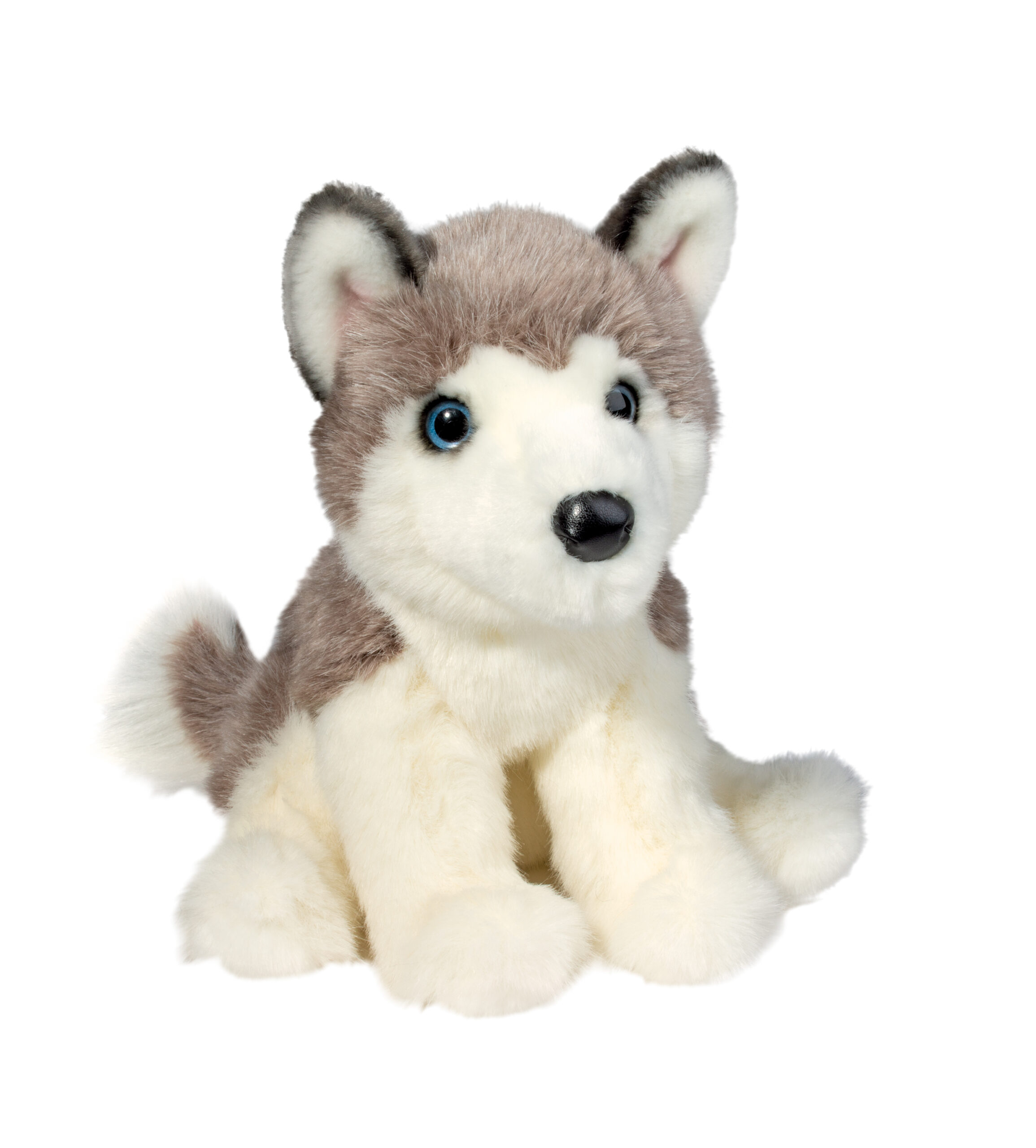 North Husky