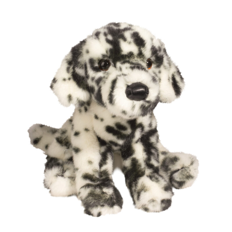 Mackay Dalmation