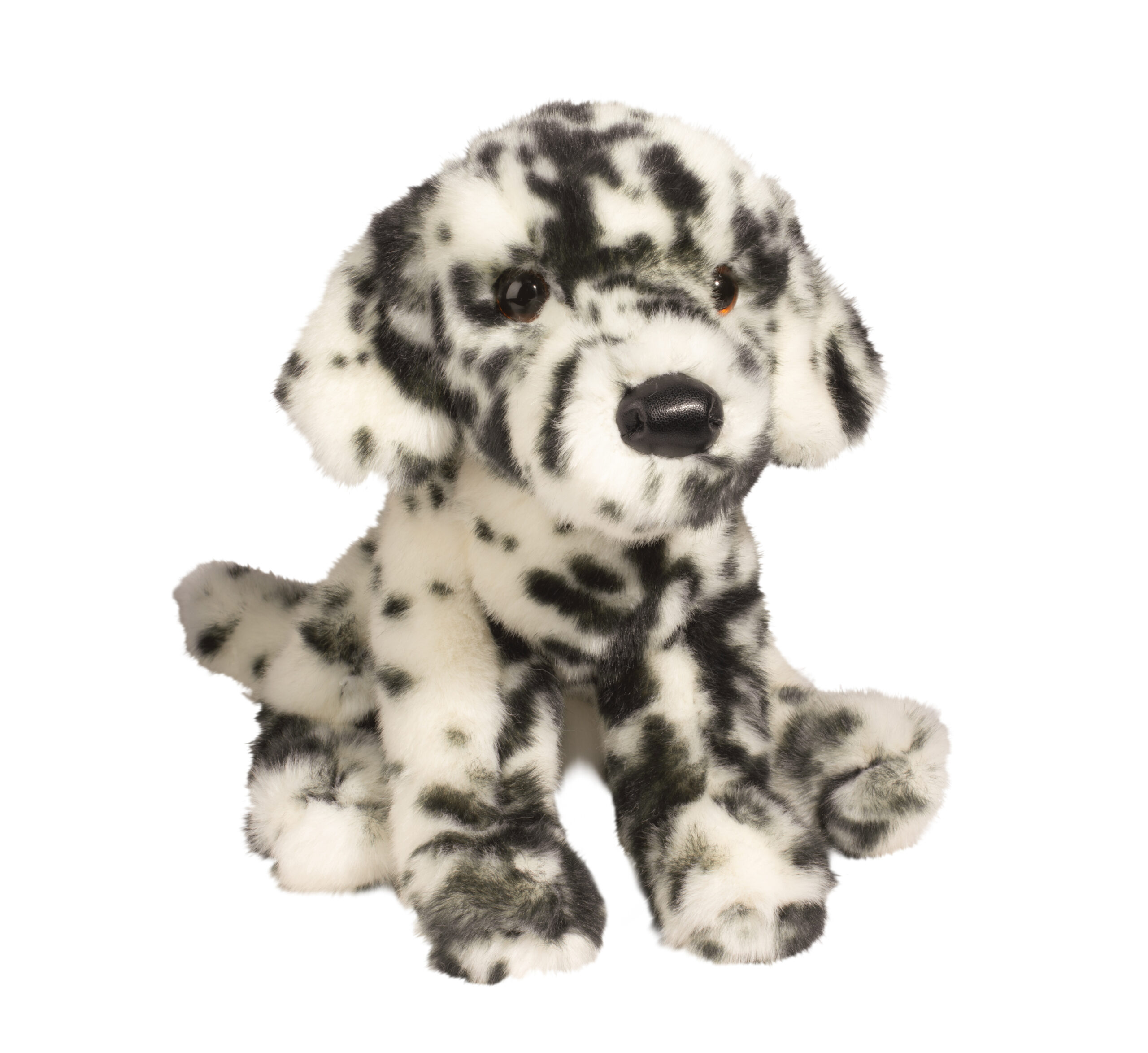 Mackay Dalmation