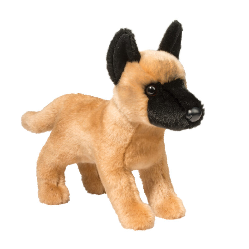 Klaus Belgian Malinois