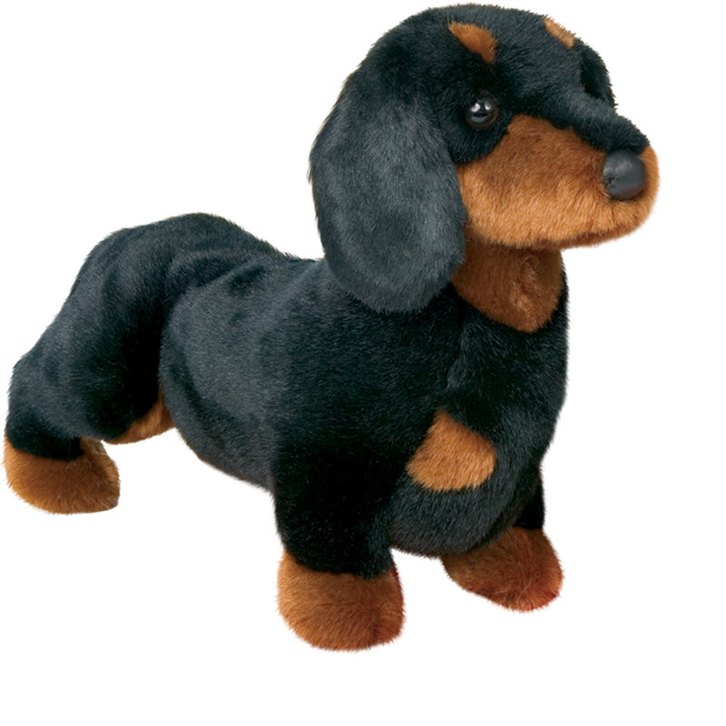 Spats Black & Tan Dachshund