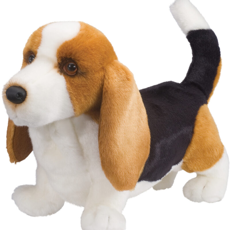 Harold Basset Hound