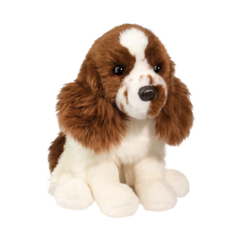 Chip Springer Spaniel
