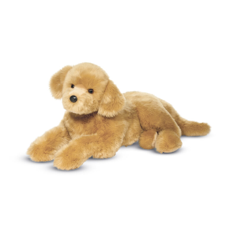 Sherman Golden Retriever