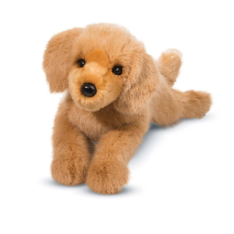 Oakley Dlux Golden Retriever