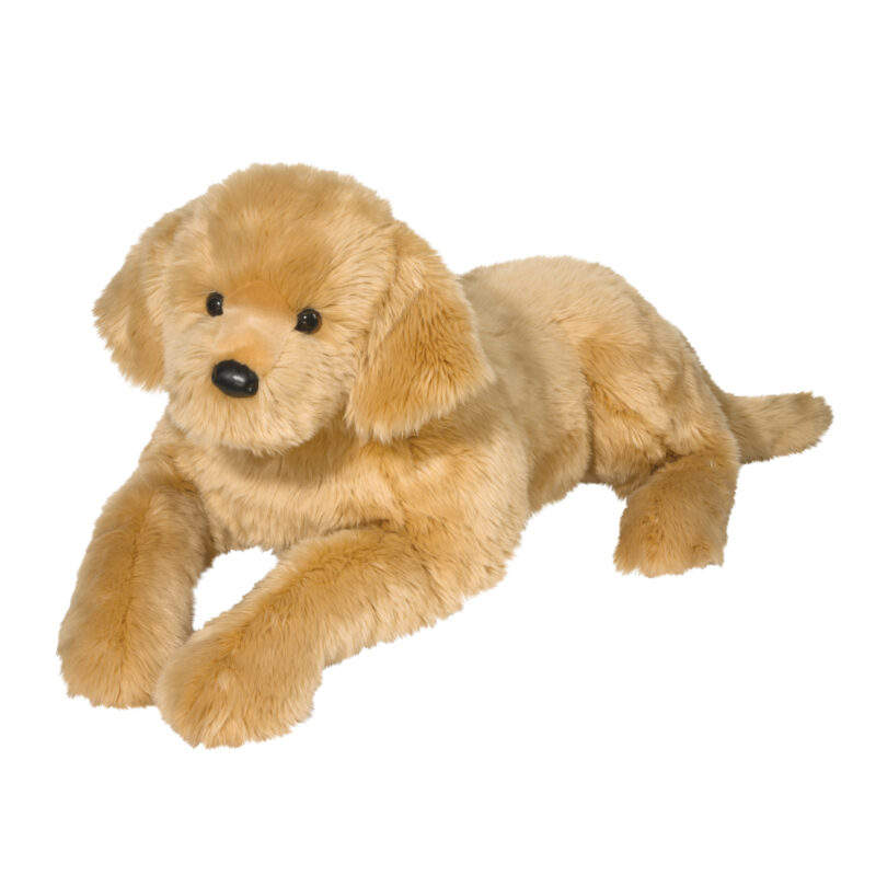 Sherman Large Golden Retriever