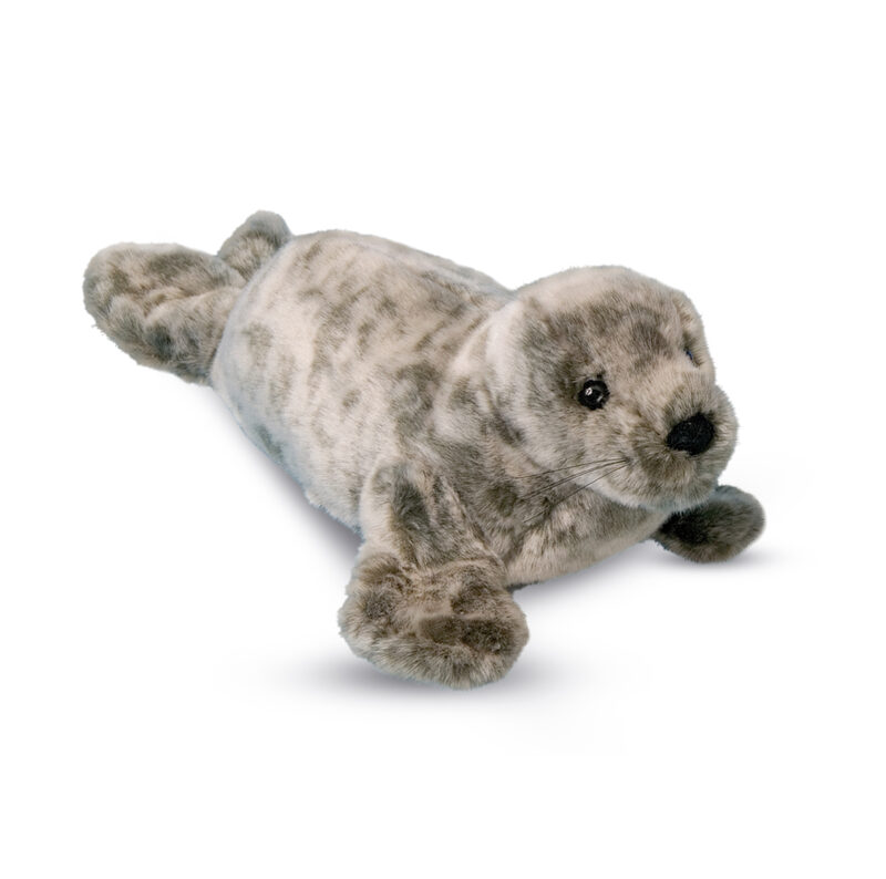 Speckles Monk Seal