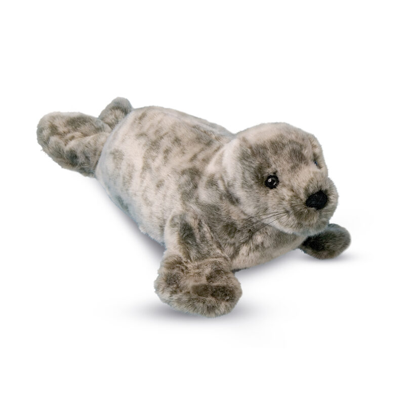 Speckles Monk Seal