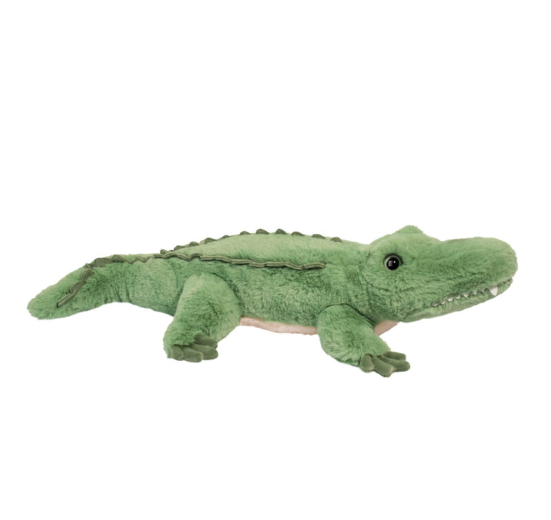 Snappy Alligator