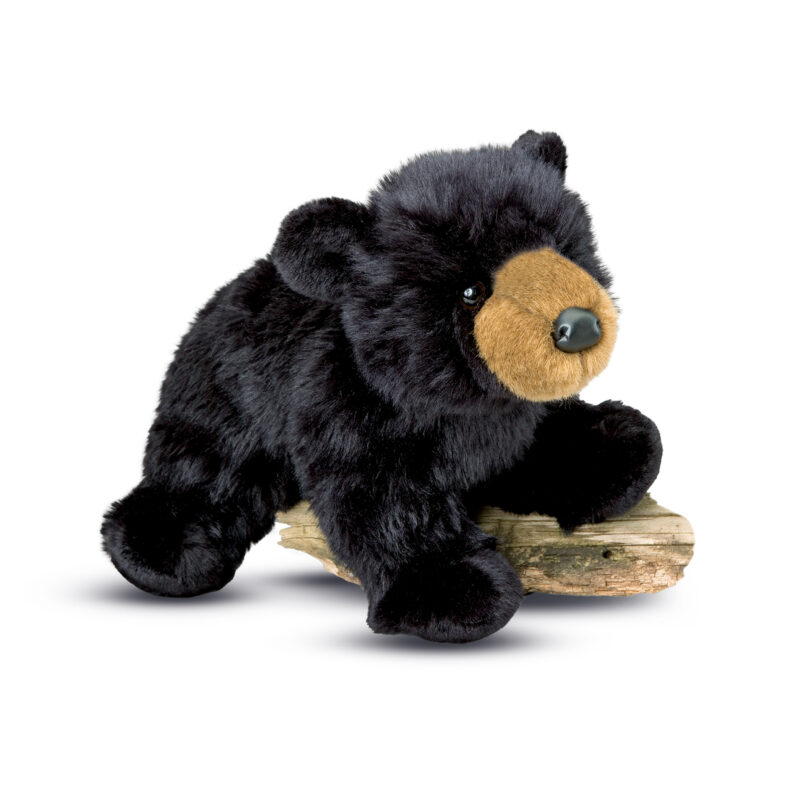 Boulder Black Bear