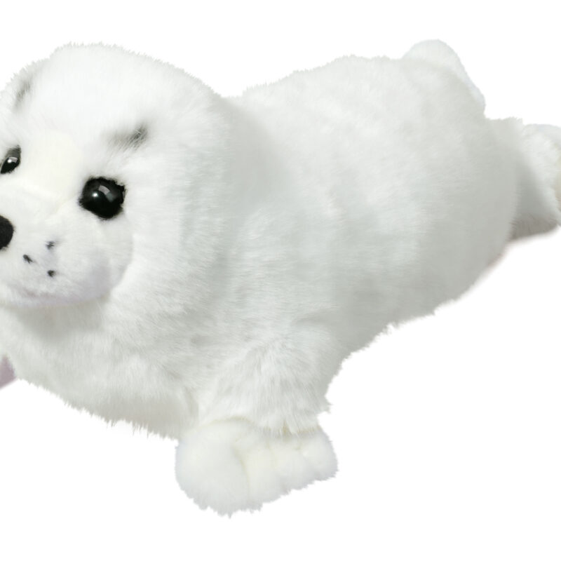 Twinkle Harp Seal Pup