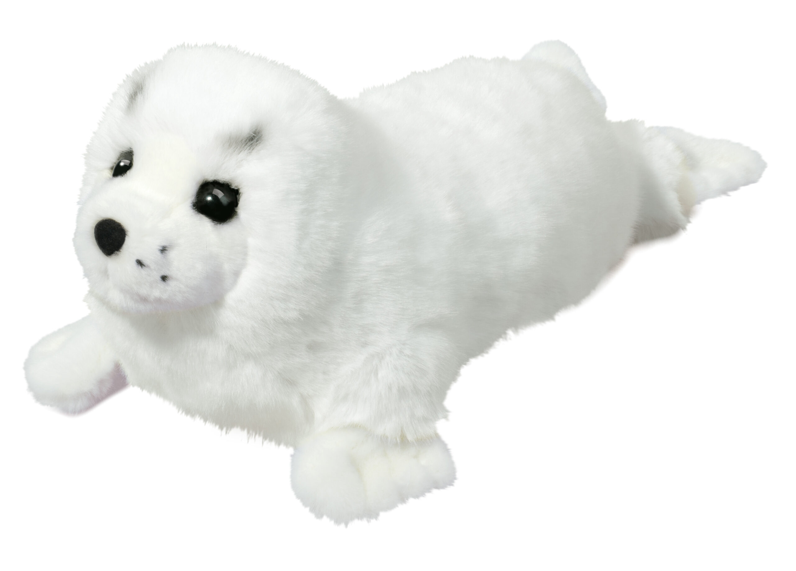 Twinkle Harp Seal Pup
