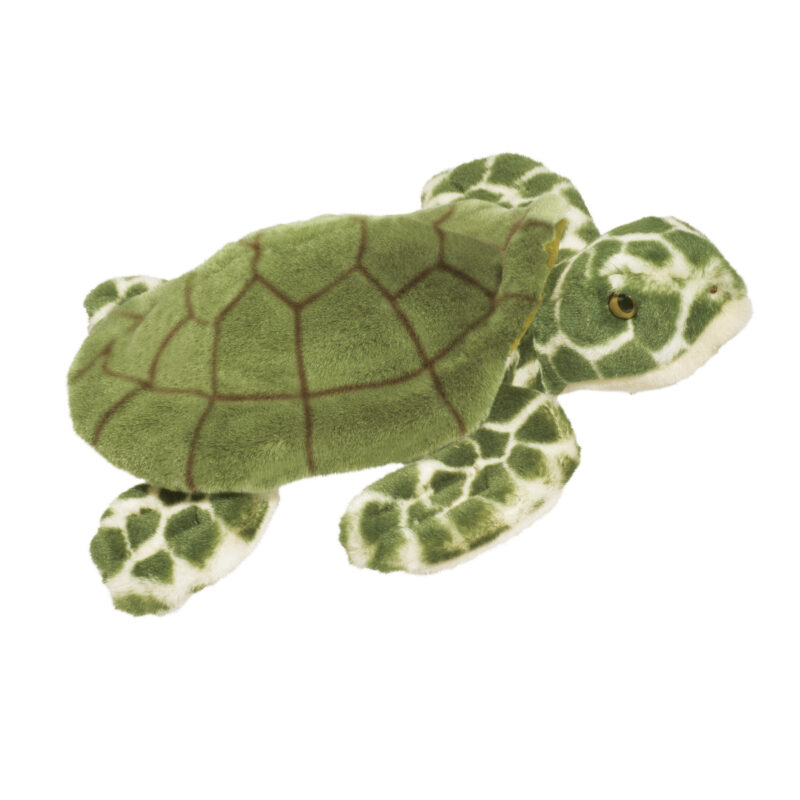 Toti Sea Turtle
