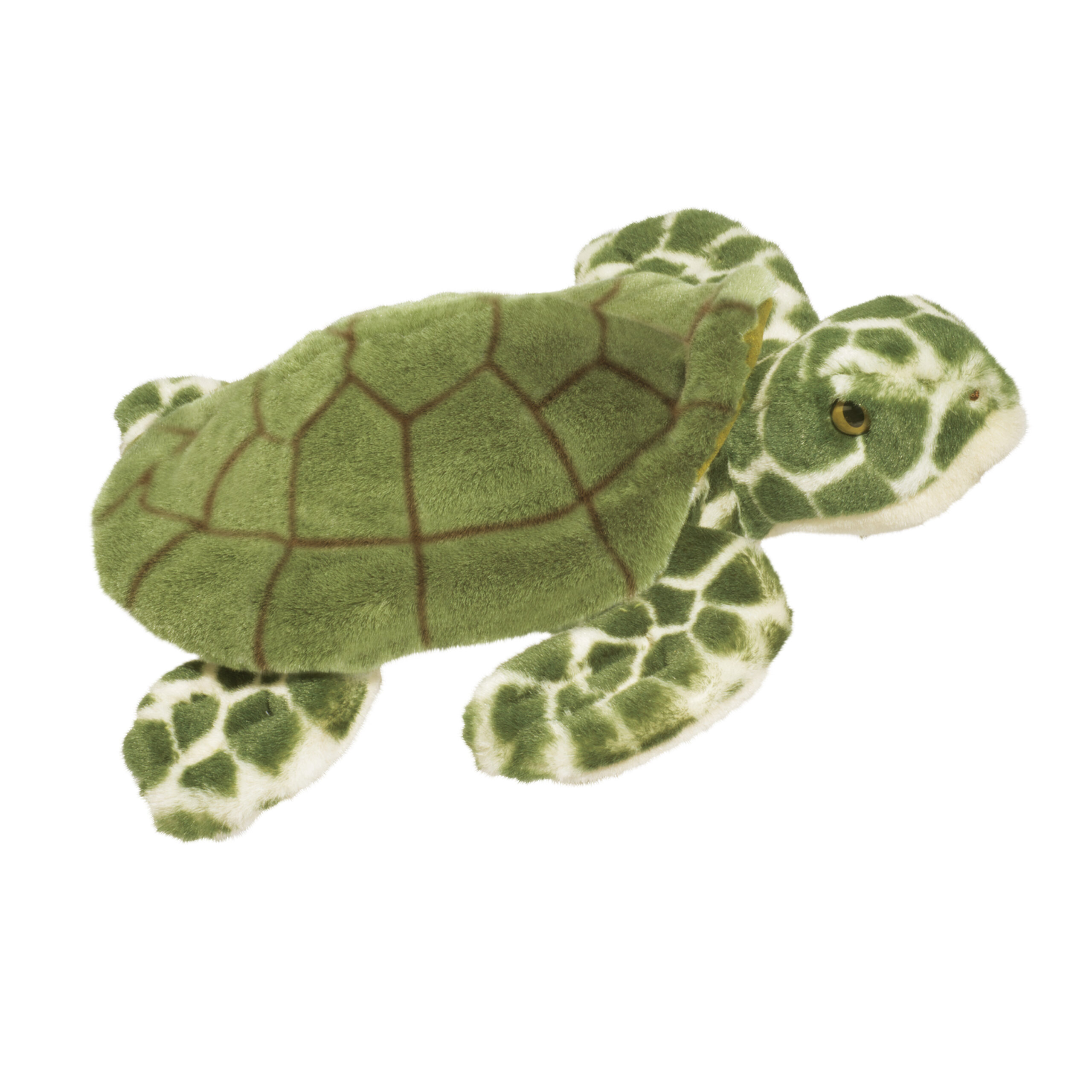 Toti Sea Turtle