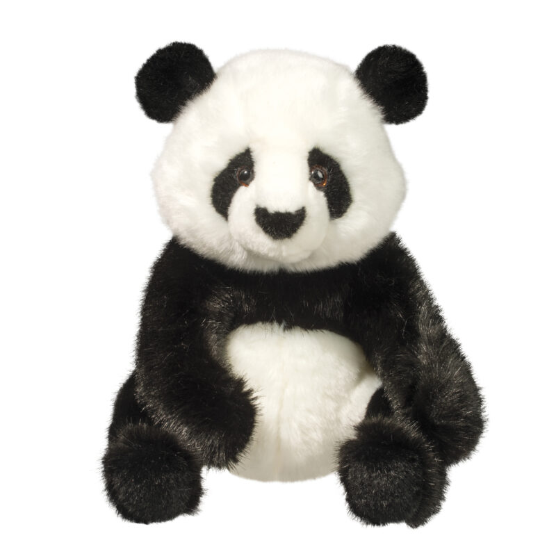 Paya Panda