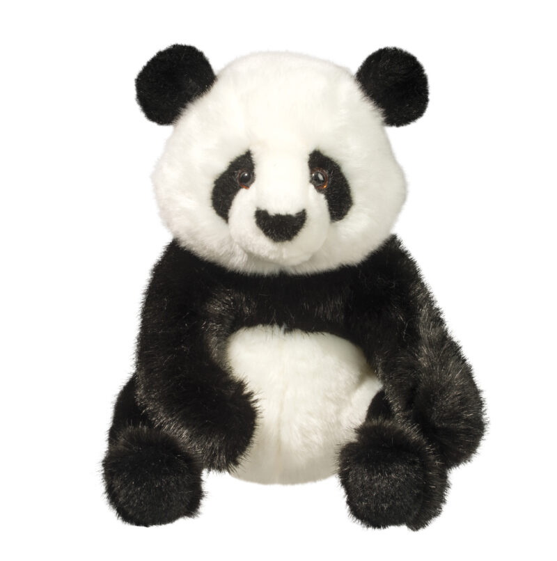 Paya Panda