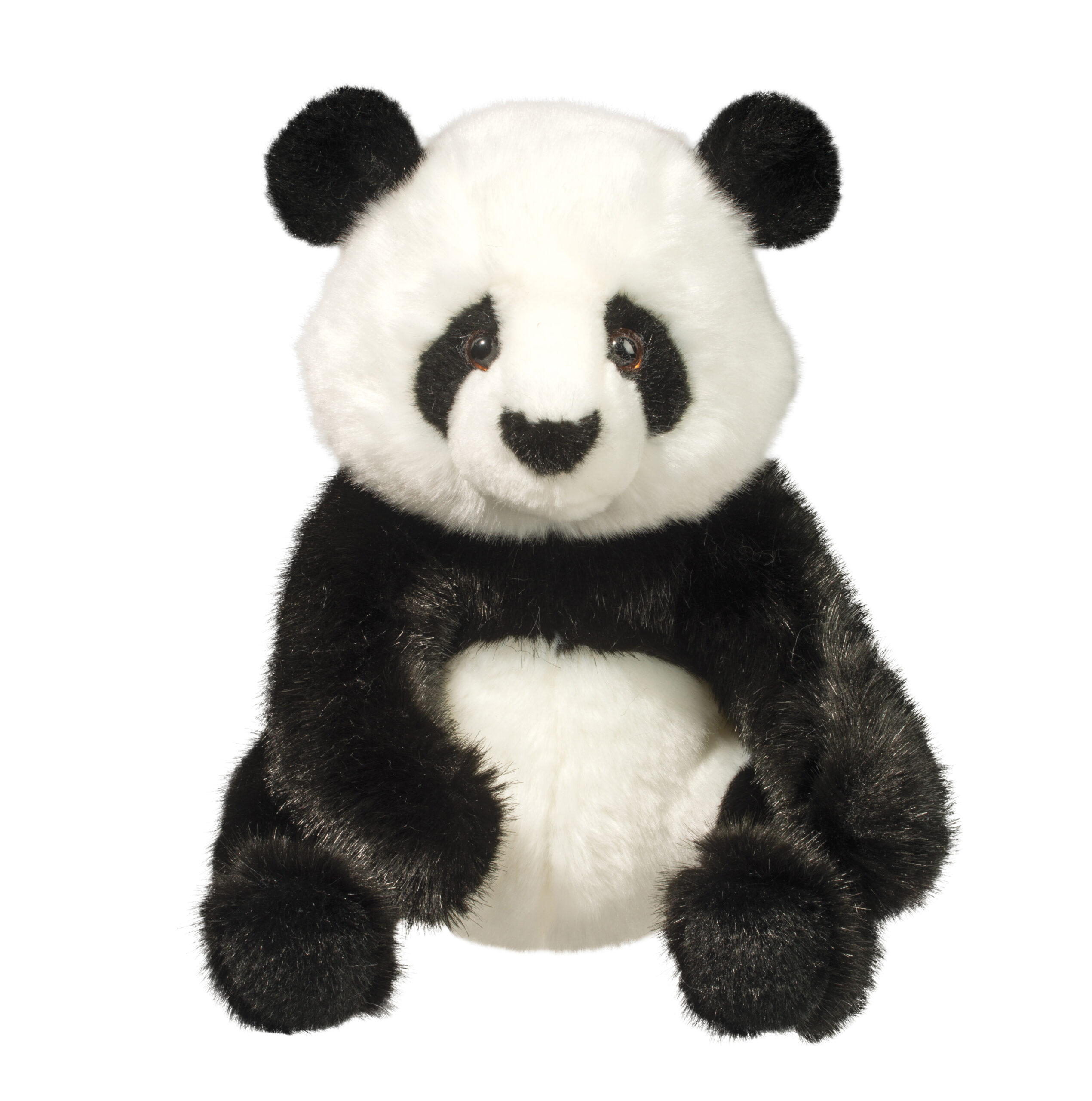 Paya Panda