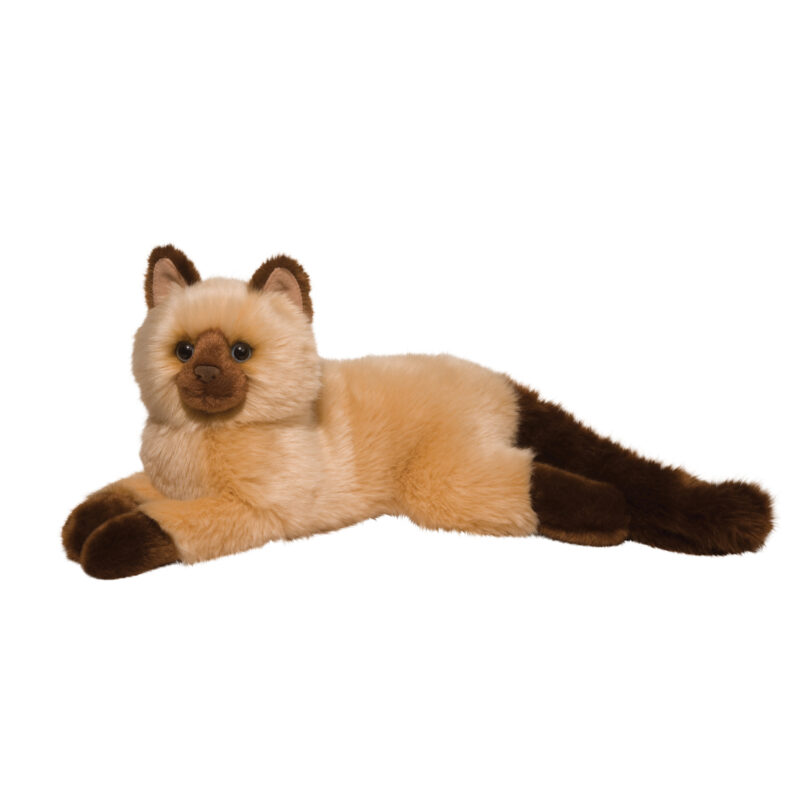 Sebastian Himalayan Cat