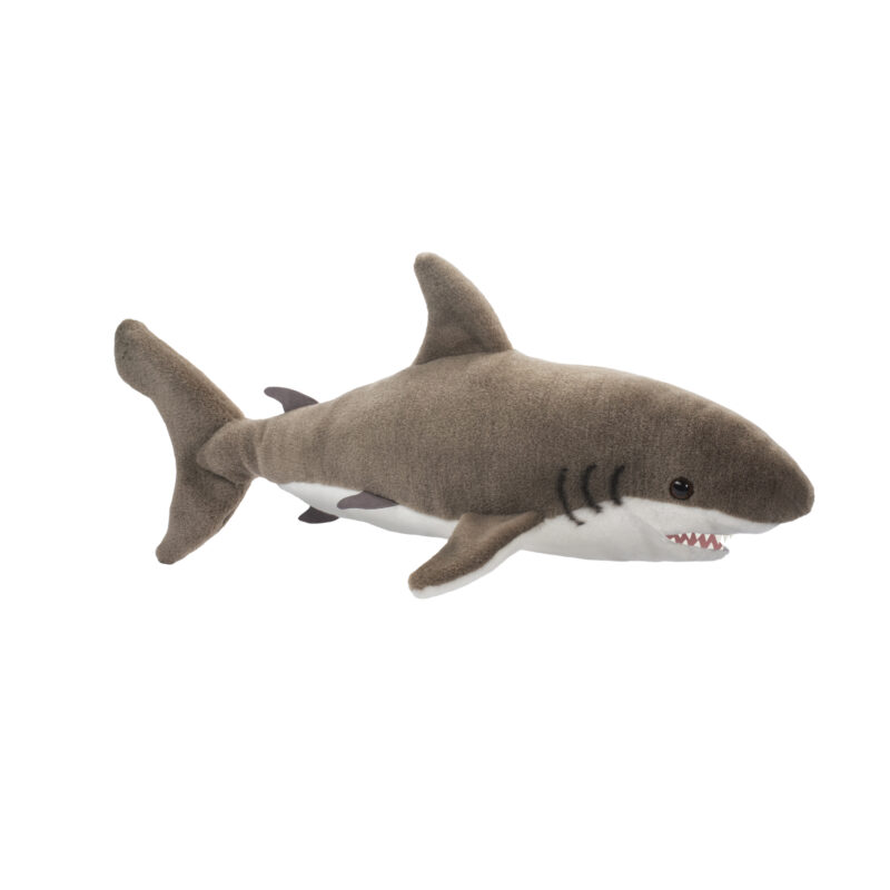 Fin Great White Shark