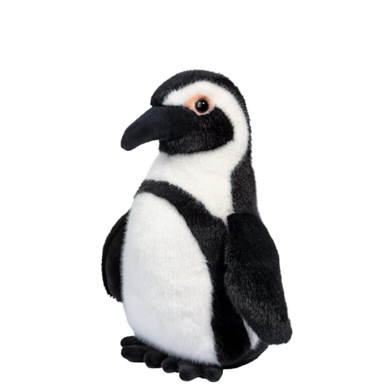 Zuri African Penguin