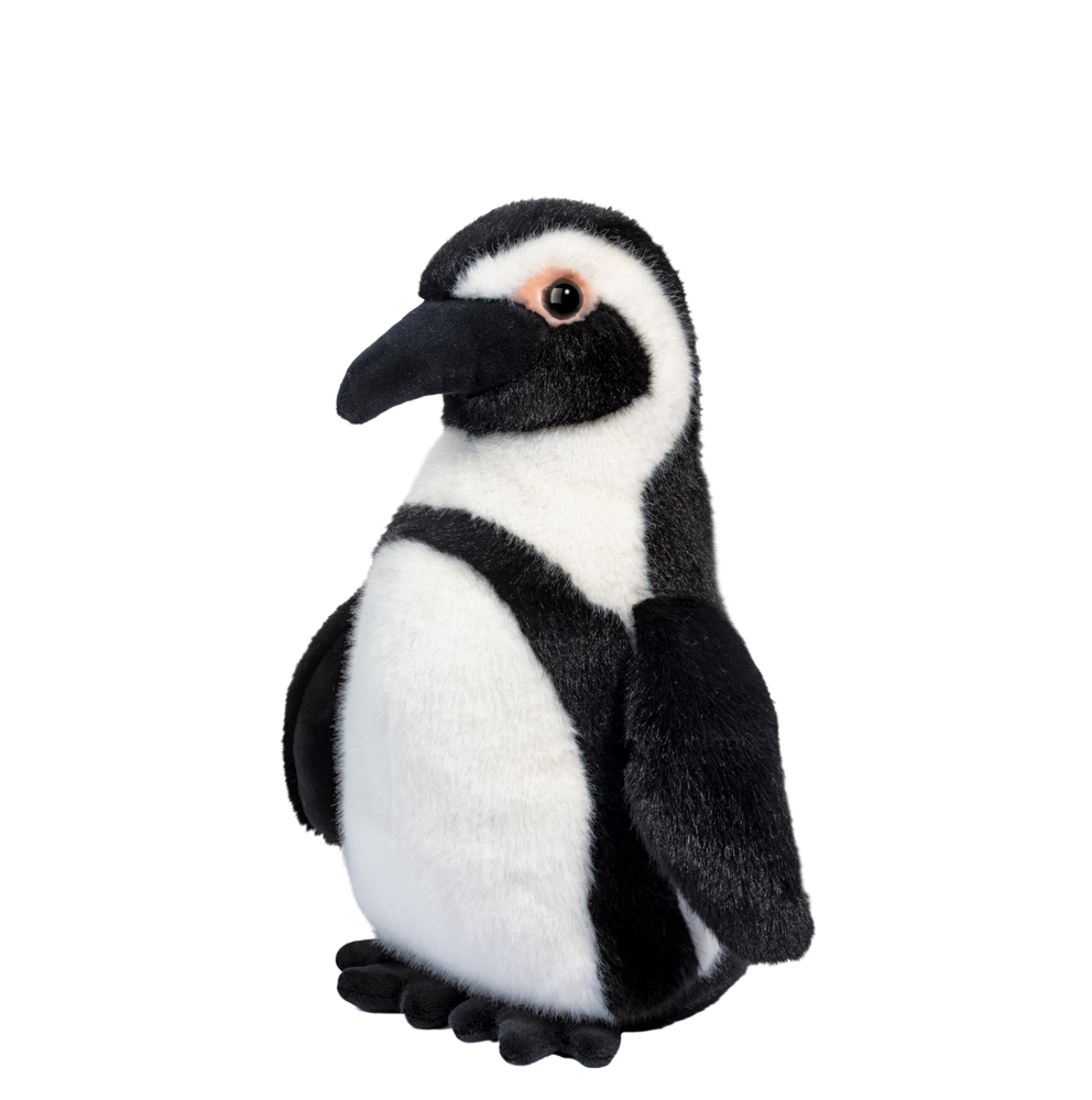 Zuri African Penguin