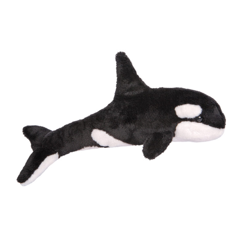 Spout Orca Whale